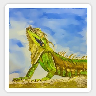 Key West Florida Iguana - WelshDesigns Sticker